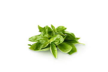 Basil on white background