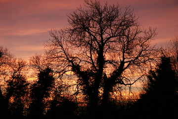 Obraz premium Sunset