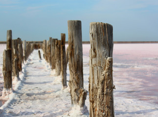 road from wooden poles on pink salt lake