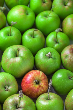 Green and red organic apples background overhead colorful closeup group in studio