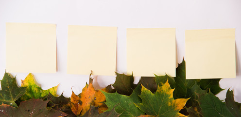 Herbst Post it leer