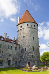 Obraz premium Medieval tower, part of the city wall, Tallinn, Estonia..