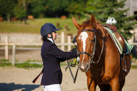 The rider is saddling his horse before the competition