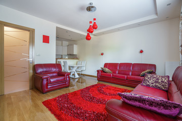 Interior of a living room in a private apartment