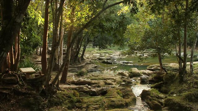 Stream runs through forest, Cuba