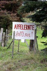 leider keine Ernte von Äpfeln im Jahr 2017, Frost dezimierte die Apfelernte