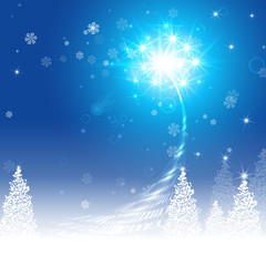 Christmas background, fireworks in honor of Christmas