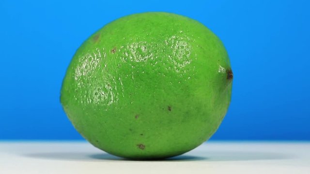 Green lime rotating on blue background, citrus aurantiifolia