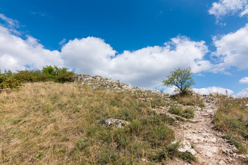 Fototapeta na wymiar Meadow with rock and tree under the blue sky - landscape on small mountain