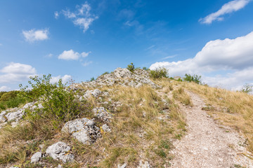 Meadow with rock and tree under the blue sky - landscape on small mountain