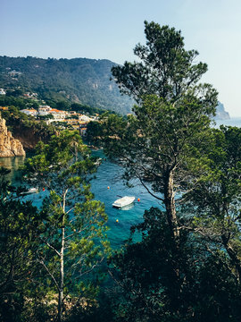 Mediterranean landscape.