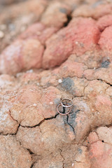 wedding decor with owls and printing, Bridal bouquet and rings