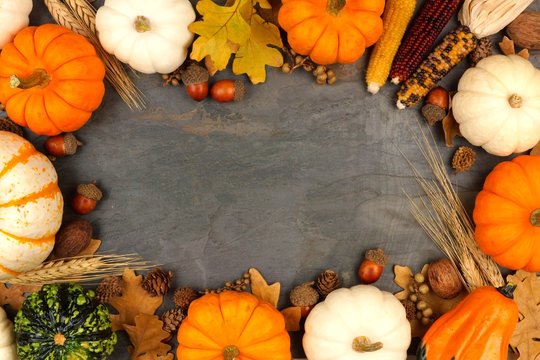 Autumn harvest frame with pumpkins, leaves and nuts over a slate stone background