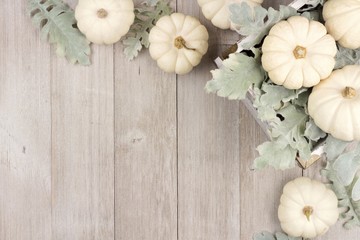 Autumn corner border of white pumpkins and silver leaves over a rustic light gray wood background