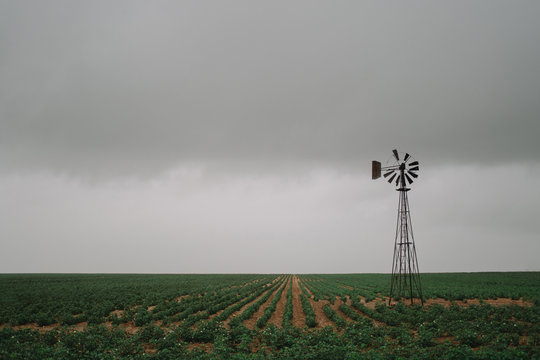 Windmill in a field.
