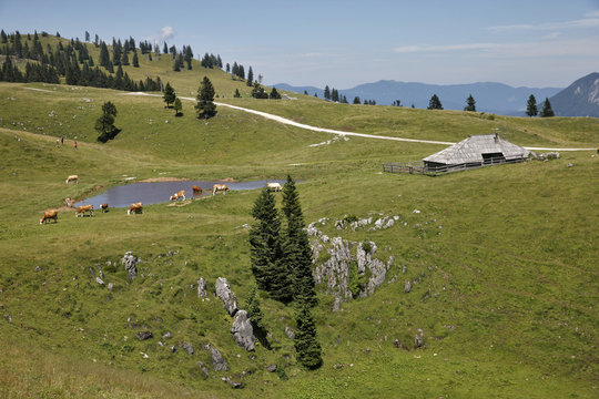 Old mountain wooden house