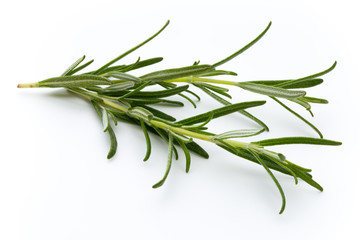 Fototapeta premium Rozmaryn na białym tle na białym tle, widok z góry.