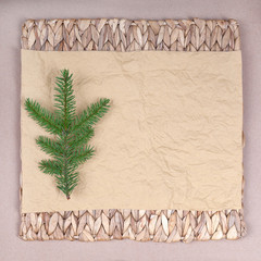 spruce branches on a background of crumpled paper