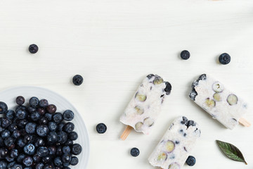 Homemade Detox Berry Popsicles, Healthy Snack Concept