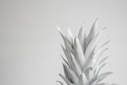 White crown of pineapple
