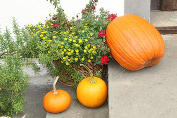 Autumn Decoration, Herbstdekoration