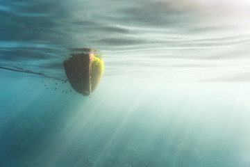 Biofouling on a hull of a ship seen from underwater