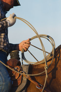 A cowboy holds a coiled rope and loop while sitting on horse
