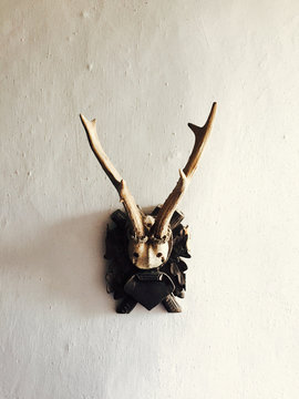 Hunting Trophy