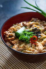 Oyakodon, Chicken and egg bowl, Japanese food, close view.