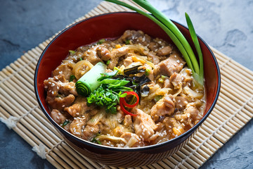 Oyakodon, Chicken and egg bowl, Japanese food, close view.