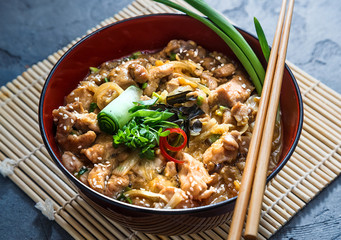 Oyakodon, Chicken and egg bowl, Japanese food, close view.