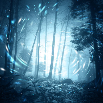 Foggy dark blue colored foggy forest tree landscape scene with mystical spin effect firefly lights.