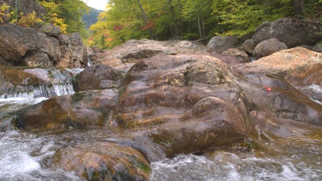 CLOSE UP: Water cascading down over pebble rocks to small green pool in gorgeous autumn colour forest. Small brook splashing over stones in riverbed. Lush dense fall foliage woods in river valley