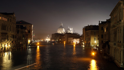 Fototapeta premium Venezia Orso Lupo