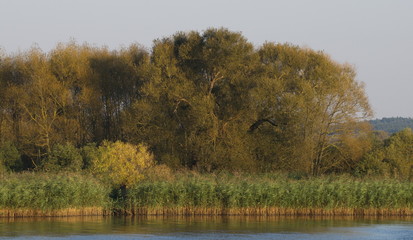 Polnisches Ufer an der Westoder, westlich von Krzypnica