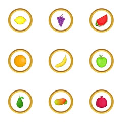 Tropical fruits icons set, cartoon style