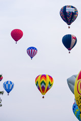 Obraz premium Hot Air Ballon Parade