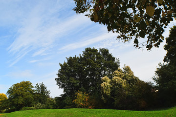 Landscape View Trees And Sky