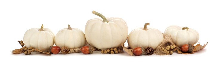 Autumn border arrangement of white pumpkins and brown leaves isolated on a white background
