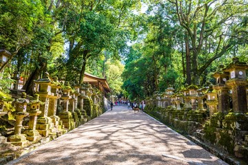 Obraz premium 奈良 春日大社の参道