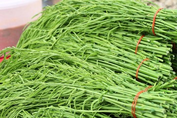 Acacia pennata at market
