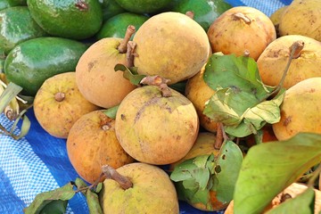 Santol fruit in the market