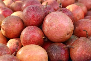 passion fruit