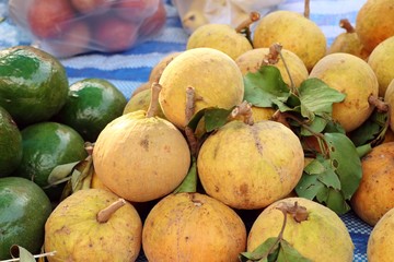 Santol fruit in the market