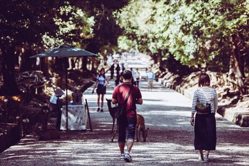 奈良 春日大社の参道
