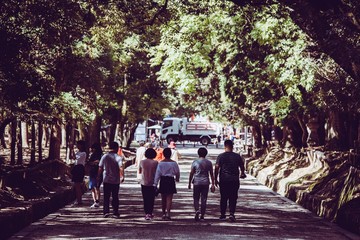 奈良 春日大社の参道