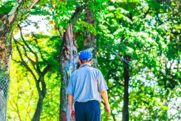 木々を見つめる男性