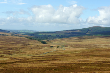 Ireland.Peatlands in the Wicklow mountains.
