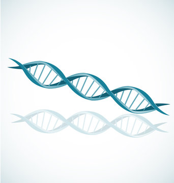 DNA strand double helix spiral icon vector