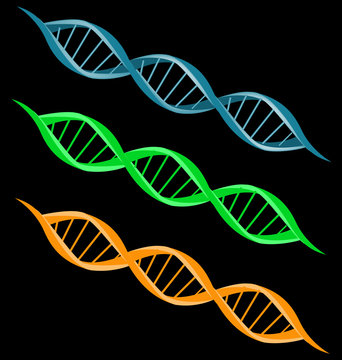 DNA Strand Double Helix Spiral Icon Vector Set